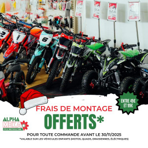 C’est le moment idéal pour préparer vos cadeaux : en commandant avant le 30 novembre, nous vous offrons les frais de montage !