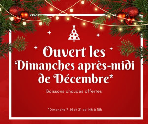 Ouverture exceptionnelle en décembre des Ets Guillot